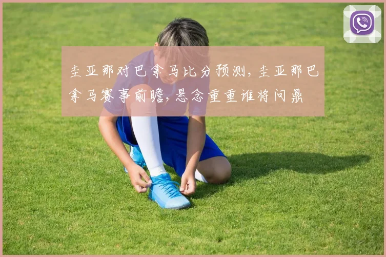 圭亚那对巴拿马比分预测,圭亚那巴拿马赛事前瞻,悬念重重谁将问鼎